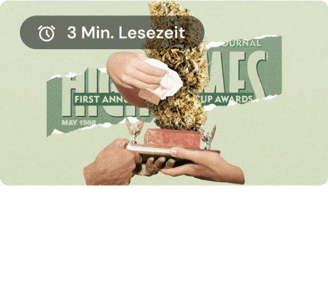 Cannabis cups